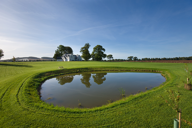 Pond